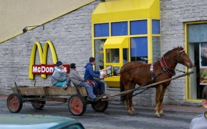 Mc Horse and Cart - Romania at Its Best